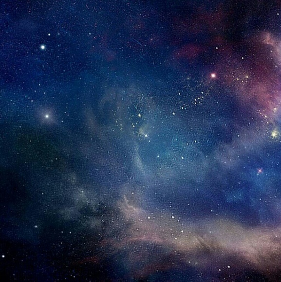 Meet your Posher, Chelsea - Picture 1 of 1